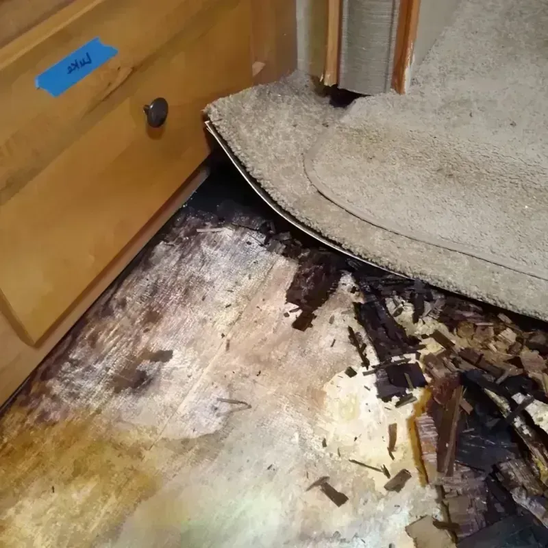 Wood Floor Water Damage in Waverly, VA